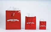 Med Red Gift Bags (Imprinted)