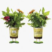 Grow Cup with  Eco Guy Design Cup